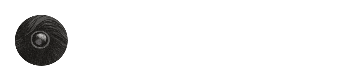 Blockops logo